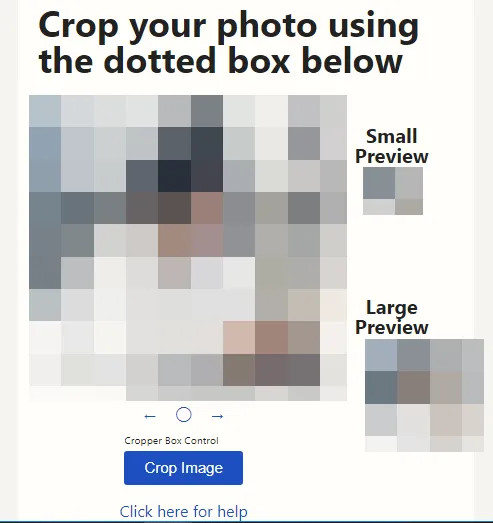 Alt: Hình minh họa cách cắt ảnh trên Gravatar