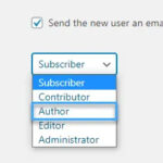 Author là gì? Sự khác biệt trong vai trò và quyền của tác giả WordPress