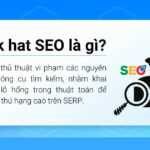Black hat SEO là gì? 11 kỹ thuật SEO mũ đen cần tránh mới nhất hiện nay