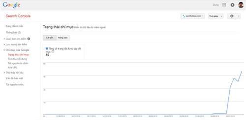 Trạng thái chỉ mục